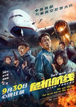 危机航线 2024 电影 海报