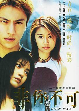 非你不可 2002 电影 海报