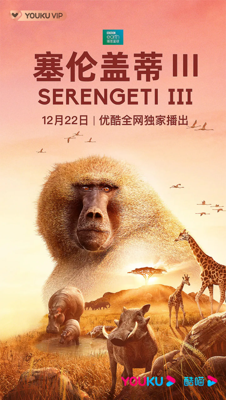 塞伦盖蒂 第三季 2022 纪录片 海报