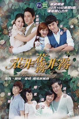 花非花雾非雾 2013 电视剧 海报