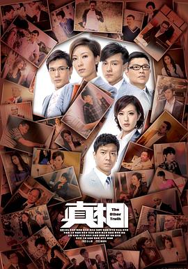 真相 2011 电视剧 海报