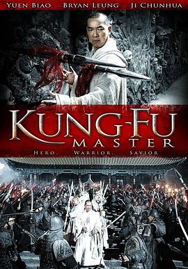 功夫大师2010 2010 电影 海报