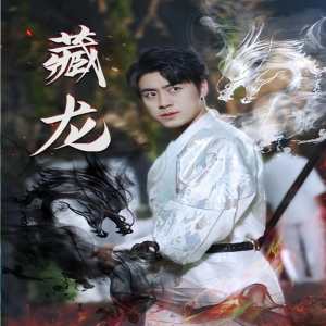 藏龙74集版 2024 短剧 海报