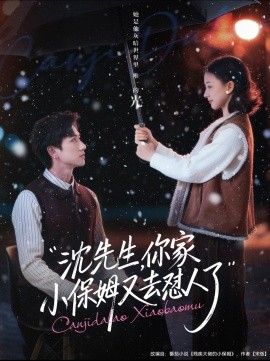 沈先生，你家小保姆又去怼人了 2023 短剧 海报