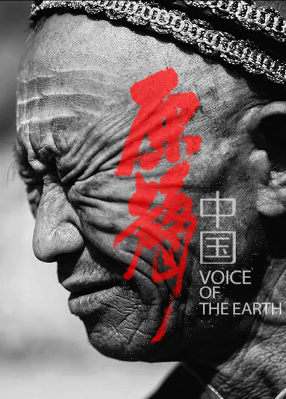 原声中国 2019 纪录片 海报