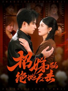 卷帘待得月华生 2025 短剧 海报