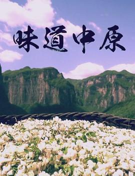 味道中原 2017 纪录片 海报