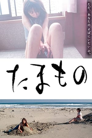 便当 2004 电影 海报