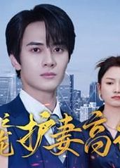 隐龙之护妻高手 2024 短剧 海报