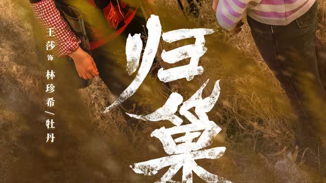 归巢 2024 短剧 海报